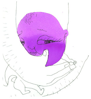 violeta1